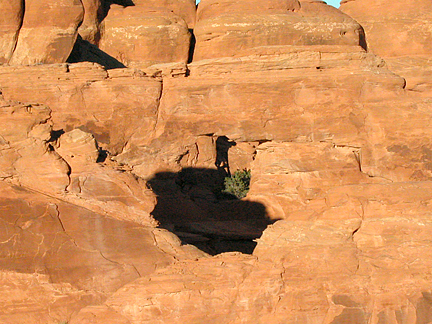 Shield Arch, North Devils Garden, Arches National Park, Utah