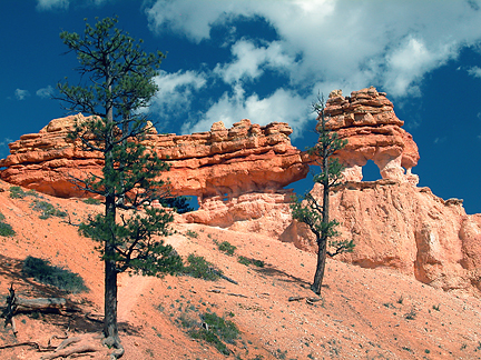 Mossy Cave Windows, Mossy Cave, Bryce Canyon National Park, Utah