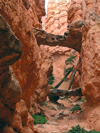 Two Bridges, Sunset Point, Bryce Canyon National Park, Utah