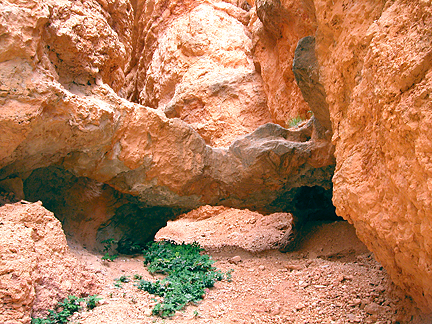 Unnamed Arch 04, Sunset Point, Bryce Canyon National Park, Utah