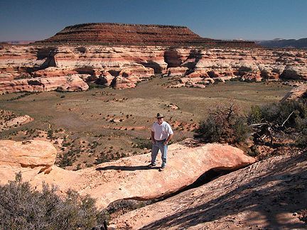 Big Pocket Arch, Big Pocket Upper Salt Creek, Canyonlands National Park, Utah