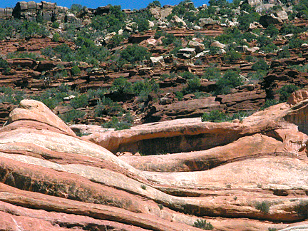 Bridger Jack Arch, Bridger Jack Mesa, Canyonlands National Park, Utah