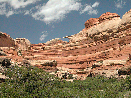 Castle Arch, Horse Canyon, Needles District, Canyonlands National Park, Utah