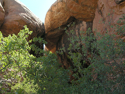 Curved Arch, Horse Canyon, Needles District, Canyonlands National Park, Utah
