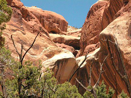 Penthouse Arch, Horse Canyon, Needles District, Canyonlands National Park, Utah
