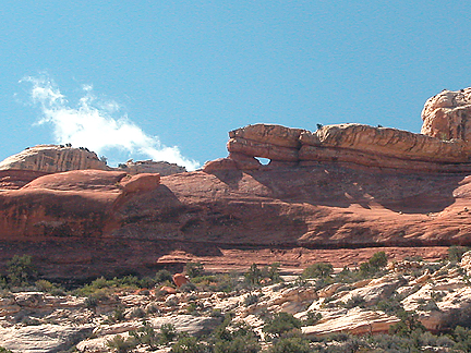 Salt Creek Ridgely Arch, Salt Creek, Canyonlands National Park, Utah