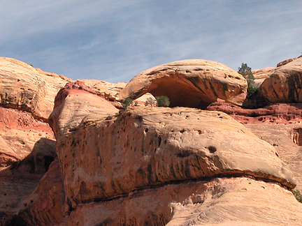 Turtle Arch, West Fork Lavender Canyon, Canyonlands National Park, Utah