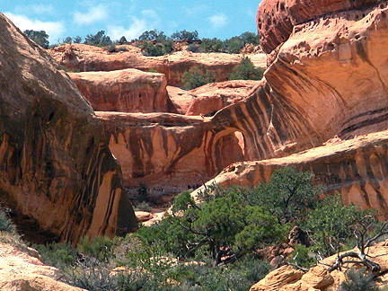 Wallpaper Arch, Lavender Canyon, Canyonlands National Park, Utah