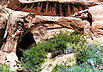 Glen Canyon NRA