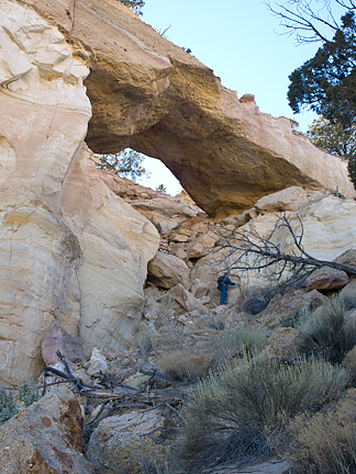 Pet Wood Arch, Butler Valley, Grand Staircase-Escalante National Monument, Utah