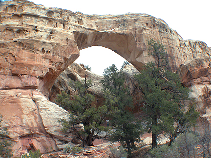 Sam Pollock Arch, Lower Death Valley, Grand Staircase-Escalante National Monument, Utah