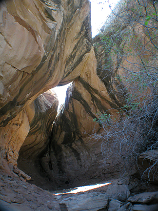 Alamo Arch, Tenmile Canyon near Moab, Utah