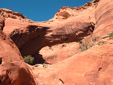 Mineral Canyon Arch, South Fork Mineral Canyon near Moab, Utah