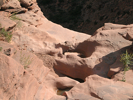 Potty Bridge, Day Canyon near Moab, Utah