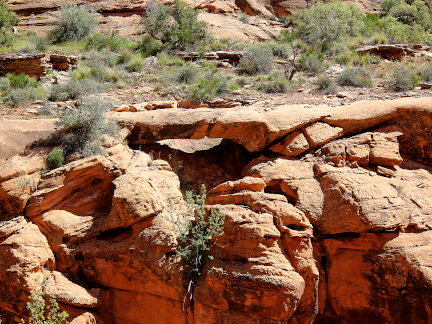 Shelf Arch, Kane Springs Canyon, west of Moab, Utah