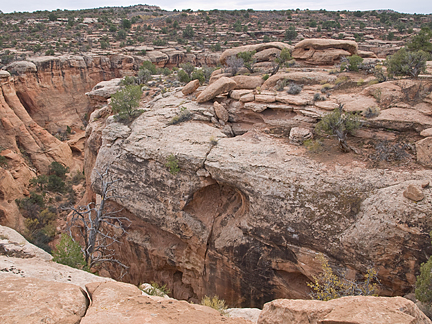 Split Top Arch, South Fork Mineral Canyon near Moab, Utah