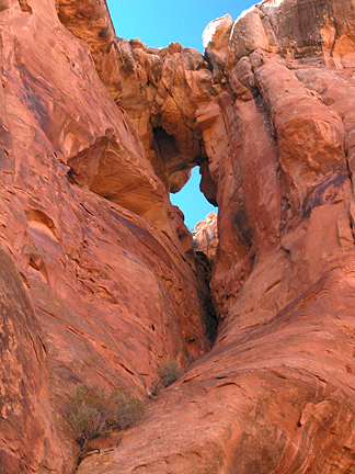 Swallows Nest Arch, South Fork Mineral Canyon near Moab, Utah