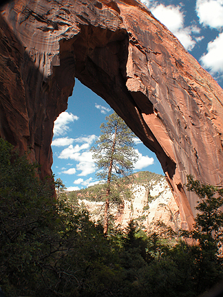 Bayles Ranch Arch, Allen Canyon, San Juan County, Utah