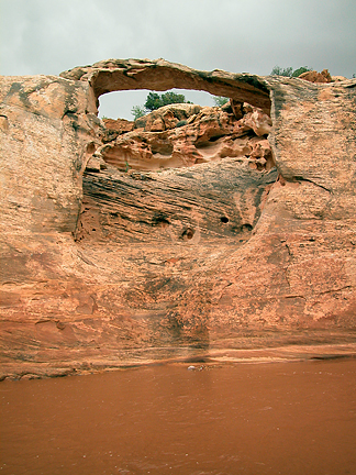 Big Arrowhead Arch, White Canyon, San Juan County, Utah