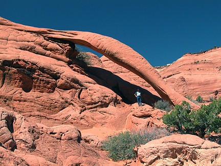 Cobra Arch, The Dive, Kane County, Utah