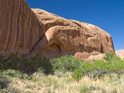 Giant Anteater Arch, East Fork Pasture Canyon, Wayne County, Utah
