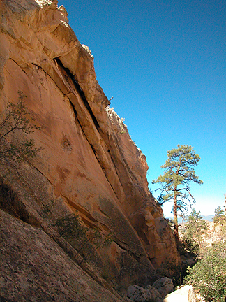 Lonesome Pine Arch, East of Escalante, UT, Garfield County, Utah