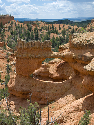 Losee Canyon Arch, Losee Canyon, Garfield County, Utah