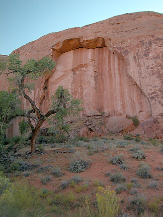 Sprang A Leake Arch, East Lake Canyon, San Juan County, Utah