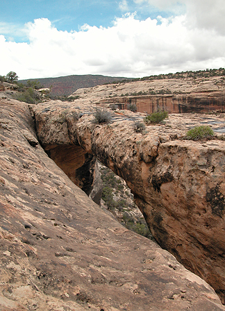 Indian Foot Arch, White Canyon, Natural Bridges National Monument, Utah