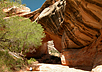 Natural Bridges NM