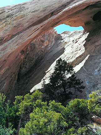 Mystery Arch, San Rafael Reef, San Rafael Swell, Emery County, Utah