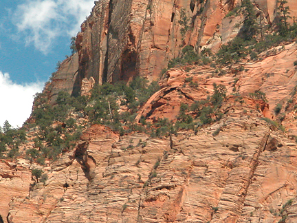 Bridge Mountain Arch, Bridge Mountain, Zion National Park, Utah