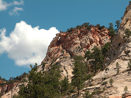 Checkerboard Arch, Checkerboard Mesa, Zion National Park, Utah