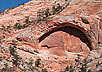 Zion NP