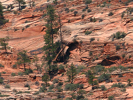 Twin Pines Arch, Pine Creek, Zion National Park, Utah