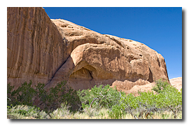 Giant Anteater Arch, Pasture Canyon