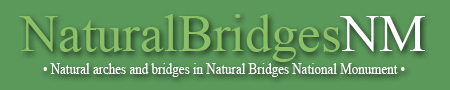 Natural arches and bridges in Natural Bridges National Monument